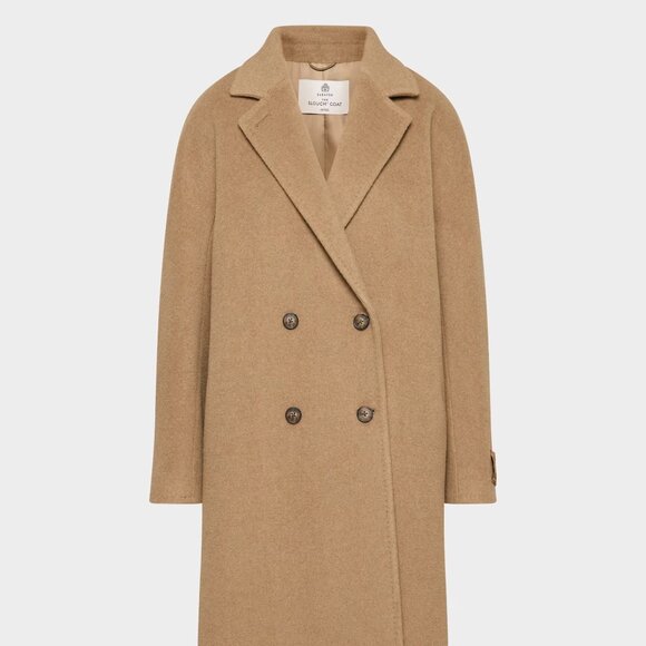 Aritzia Slouch Coat - Picture 4 of 5